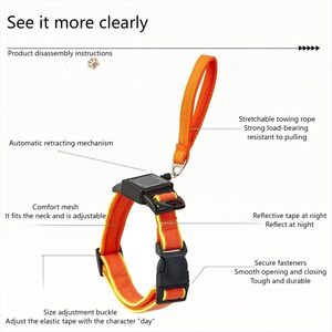 Harnais pour petits animaux 2 en 1 écologique avec laisse intégrée, laisse extensible, collier rétractable intégré, verrouillage automatique, lavage à la main - Product Image 3