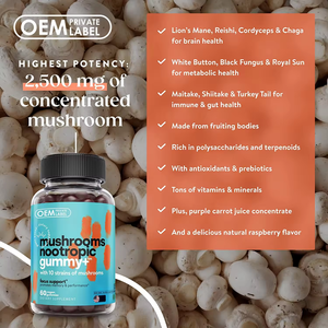 OEM ODM Etiqueta Privada gomitas de setas suplementos niños aplicable memoria cerebral concentración caramelo forma de dosificación caramelo de goma - Product Image 4
