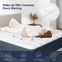 Matelas orthopédique en latex à mémoire de forme comprimée à 5 zones pour lit d'hôtel Matelas à ressorts ensachés