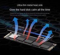 SSD Netac NV3000 Original 250GB 500GB Solid State Drive 1TB 2TB Hard Drive M.2 2280 NVMe PCIe Gen3x4 Hard Disk untuk PC Laptop