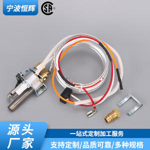 Quemador de gas para calentador de agua 100112330, pieza de repuesto integrada de acero inoxidable para electrodomésticos - Product Image 3