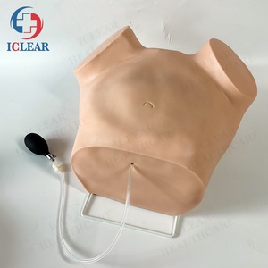 चार-कदम Palpation, गुदा परीक्षा और योनि परीक्षा प्रशिक्षण मॉडल - Product Image 3