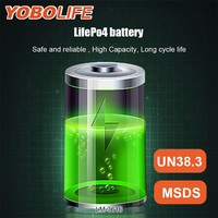Yobolife LM3616 Lampu Tenaga Surya Luar Ruangan 80Wh Penyimpanan Darurat Stasiun Tenaga Surya 12V Kit Penerangan Tenaga Surya Dengan Radio Mp3 Bluetooth