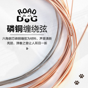 Cuerdas para Guitarra Acústica Road Dog, Recubiertas de Bronce Fosforado, Juego de 1-6 Cuerdas AC11/12/10 - Product Image 2