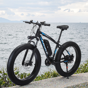 Factory FRIKE <b>Bike</b> <b>Electric</b> Mountain <b>Electric</b> Dirt <b>Bike</b> Adult Suron <b>Electric</b> <b>Bike</b> Bicicleta <b>Electric</b> <b>Electric</b> Bicycle for Adult - Product Image 2