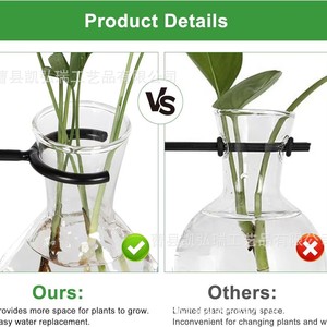 Soporte creativo de madera y vidrio para plantas pothos, macetas de vidrio con múltiples orificios, decoración de escritorio. - Product Image 2