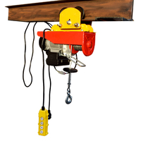 Petite grue micro pour le levage domestique, treuil télécommandé, treuil de traction, climatisation, treuil électrique portable