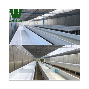 Invernaderos de un solo aro para equipos de acuicultura de cultivo de <span class=keywords><strong>peces</strong></span> y vegetales acuáticos - Product Image 4