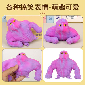 Autonomy Squishy <b>Gorilla</b> <b>Toy</b> 12Pcs Colorful Stress Relief For Kids And Adults - Product Image 2