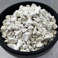 Oxyde de calcium (CaO) en poudre blanche à faible teneur en fer et haute pureté, chaux vive en poudre à bas prix