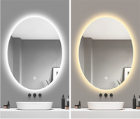 Miroir de salle de bain ovale à LED, mural, avec commande tactile, anti-buée, miroir de vanité intelligent pour la maison, l'hôtel, la salle de bain