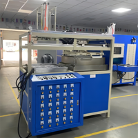 Plateau en plastique thermoformage de biscuit faisant la machine pour faire l'emballage de boursouflure