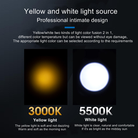 Senter LED Slide Switch Mini 2-in-1 dari Aluminium Alloy, Lampu Pena LED Putih/Kuning, Dapat Diisi Ulang via USB, Lampu Darurat