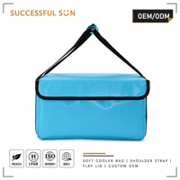 Boîte de livraison isotherme anti-déversement pour boissons chaudes, taille moyenne, bleu ciel, avec porte-gobelet et poignée rembourrée, vente en gros en vrac, direct usine