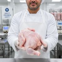 Pollo Entero Congelado Halal al por Mayor, Pollo de Engorde Premium para Exportación, Proveedor de Aves de Corral IQF, Precio de Fábrica