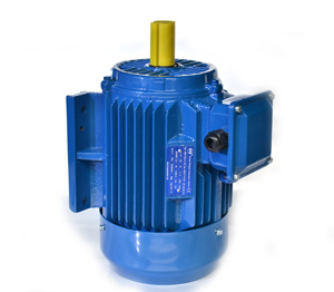มอเตอร์เหนี่ยวนำไฟฟ้ากระแสสลับสามเฟส Hongma HMI-100LA 220-400V 50/60HZ 2.2KW IP55 ผลิตในประเทศจีน - Product Image 4