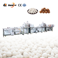 XINLONGJIA Boulette De Viande De Poulet 15/20mm Diamètre Boule De Poisson Faisant La Machine/Boulette De Viande De Porc Produit Ligne