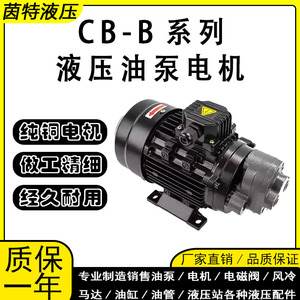 ปั๊มไฮดรอลิกแบบเฟือง CB-B4 B6 B10 B16 0.37KW ปั๊มน้ำมันแบบปริมาณคงที่ 1 จังหวะ สำหรับมอเตอร์เครื่องเลื่อย - Product Image 2