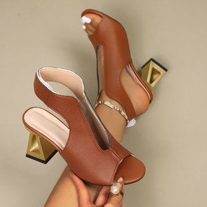 028-1 Chaussures pour femmes à bout pointu, design sexy, couleur marron, tailles 35-43, grandes tailles, talons hauts, vente directe d'usine - Product Image 1