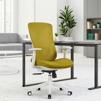 Chaise de bureau exécutive ergonomique en tissu, design moderne et élégant, dossier haut, soutien lombaire réglable, garantie 3 ans