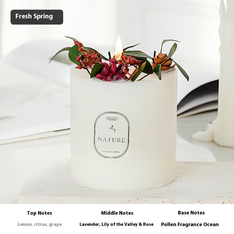 ฤดูใบไม้ผลิที่สดใส