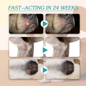 <span class=keywords><strong>Liquide</strong></span> d'élimination des étiquettes de verrues pour animaux de compagnie Nettoyer et décolorer la peau naevus Granulés de viande Cors Enlever Soins de la peau Verruca <span class=keywords><strong>liquide</strong></span> - Product Image 5