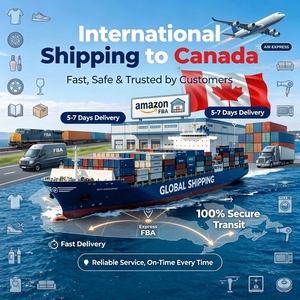 Transitario Logístico Profesional DDP a Canadá con Entrega Aérea Rápida y Tarifas Económicas para Vendedores de Shopify, <span class=keywords><strong>Wish</strong></span> y TikTok - Product Image 5