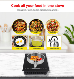 Portable Induction Hot Plate Cooktop, <strong>Single</strong> 1 <strong>Burner</strong> Cooker, Shatter-proof Flat Glass Top, 220V <strong>Plug</strong> in Electric Stove