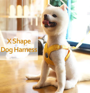 Disesuaikan grosir hewan peliharaan anjing luar ruangan <span class=keywords><strong>Harness</strong></span> X berbentuk musim panas sejuk dapat disesuaikan lembut indah nilon <span class=keywords><strong>Harness</strong></span> untuk anjing - Product Image 2