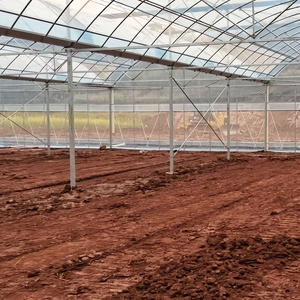 2025 Commercial Used Multi Span Tunnel <strong>Greenhouse</strong> Galvanized Steel <strong>Shelving</strong> - Product Image 5