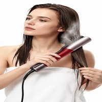 Styler pour cheveux lisses à séchage rapide 2-en-1, sèche-cheveux professionnel et fer à lisser