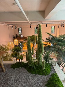 Árbol de Cactus Artificial, Planta Artificial del Desierto <span class=keywords><strong>para</strong></span> Decoración de Patio <span class=keywords><strong>Exterior</strong></span> - Product Image 3