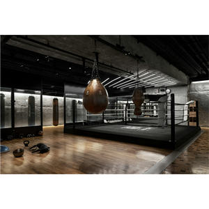 Mesure de précision 600 ㎡ Ailes de boxe personnalisées de la liberté - Product Image 5