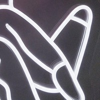 Luces LED de Neón Flexibles Personalizadas al por Mayor, Cuerpo de Lámpara Acrílico, Clasificación IP33, DC12V, Tamaño y Color Personalizables para Uso en Parques Temáticos, China