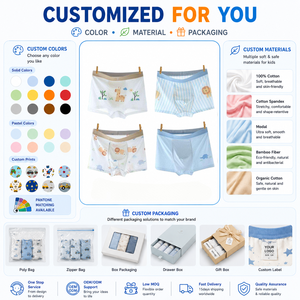 Caleçons Boxers Ultra-Fins en Soie Glacée pour Garçons, Motif Dessin Animé Personnalisé, Doux, Respirants, Séchage Rapide, Écologiques, pour Enfants et Tout-Petits, Idéaux pour l'Été - Product Image 1
