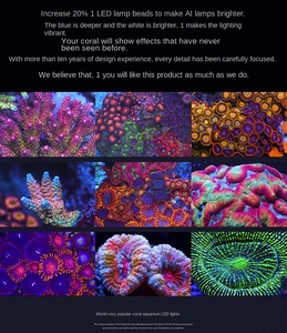 Lampes <span class=keywords><strong>LED</strong></span> écologiques américaines à intelligence artificielle, modernes, rectangulaires, 16HD Hydra 32/64HD Prime pour salon, nouveauté 220V, plastique corail et <span class=keywords><strong>eau</strong></span> <span class=keywords><strong>de</strong></span> <span class=keywords><strong>mer</strong></span> - Product Image 2