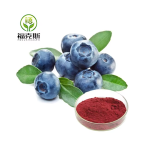 天然ビルベリーエキス25% アントシアンジン36% - Product Image 2