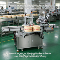 Máquina de Rotulagem Automática de Alta Precisão OEM da Fábrica RICIO para Caixas Planas com Aplicador de Etiqueta Superior e Selos de Segurança