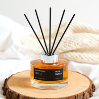 Vente en gros de flacons diffuseurs de parfum de luxe en verre de 150 ml, diffuseur d'arômes pour la maison, conteneur de diffuseur d'arômes, design inspiré