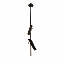 Suspension LED Moderne Réglable en Acier Inoxydable Noir, Double Spot, Luminaire de Plafond GU10 avec Commande par Interrupteur pour Maison et Bureau