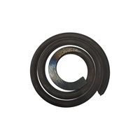 Ressort en alliage nickel-titane traité thermiquement pour l'automobile, modèle personnalisé, lieu d'origine usine, vente en gros Chine