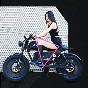 Bicicleta Eléctrica Híbrida de Alta Velocidad para Adultos, 1500W, para Terrenos Difíciles, 20*5, Unisex, con Motor de Alta Potencia E-H1, 30Ah, Horquilla de Acero, Neumáticos Anchos, 150 - Product Image 2