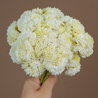 Plantes artificielles de haute qualité en plastique souple, texture riz, fruits et succulentes, faites à la main, respectueuses de l'environnement, pour décoration de mariage et événements festifs