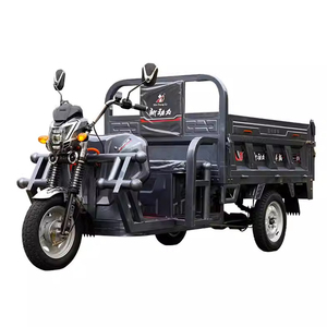 Moto électrique chinoise pour adultes, tricycle électrique à 3 roues avec siège passager et espace de chargement - Product Image 1