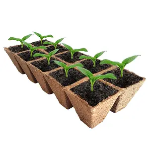 Hot sale 10 hole seeding cup garden plants nursery paper pots biodegradable seedling peat cups