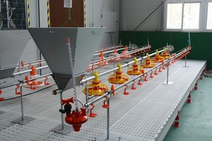 100000 Gia Cầm Hoàn Chỉnh Lớn Gà Thịt Gà Nhà Máy Tự Động Cho Gà Ăn Uống Thiết Bị Lớn Trang Trại Hệ Thống Đường Dây - Product Image 6