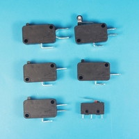 Échantillon gratuit Burgess 1a 3a 250v t85 5e4 ip67 micro interrupteur de fin de course étanche
