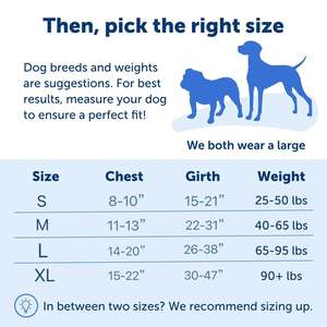 犬用ヒップホップハーネス - 引っ張らない散歩用フロントチェストリーシュアタッチメント - 快適ストラップ - 通気性のあるハーネスデザイン - Product Image 3