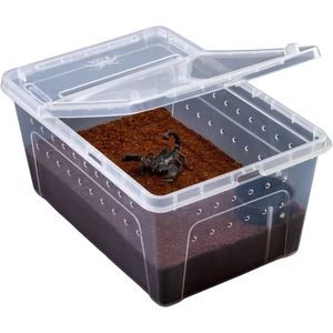 Boîte de nourrissage pour reptiles en plastique de haute qualité Joysing, conteneur en verre pour reptiles, <span class=keywords><strong>cage</strong></span> pour animaux de compagnie, boîte pour reptiles rampants - Product Image 2