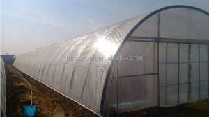 ม้วนฟิล์มโพลีเอทิลีนพลาสติกโพลีเอทิลีนใสหนา6ล้านป้องกันรังสียูวี - Product Image 5